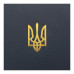 Щоденник датований 2025 POWERFUL, A5, темно-синій, бумвініл/поролон BM.21124-03