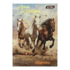 Щоденник шкільний NIGHT HORSE, В5, 40арк, тверд. обкл., мат. ламінація + виб.УФ-лак і тисн.фольгой,
