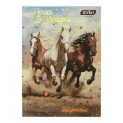Щоденник шкільний NIGHT HORSE, В5, 40арк, тверд. обкл., мат. ламінація + виб.УФ-лак і тисн.фольгой,