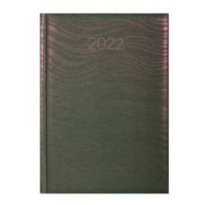 Ежедневник датированный Economix 2022 SEA А5 E21814-04 зеленый