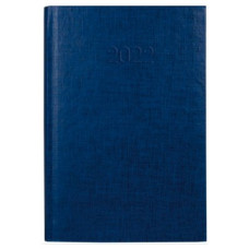 Ежедневник датированный Economix 2022 BASIC А5 E21813-02 синий