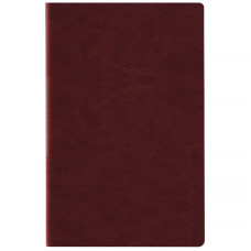 Ежедневник  2026 Partner City Soft, 145*210, коричневый
