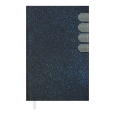 Щоденник недат. INDEX, A6, синій - BM.2606-02 Buromax