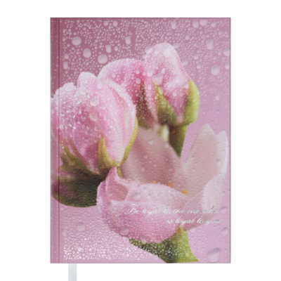 Щоденник недат. POSH, A5, рожевий - BM.2013-10