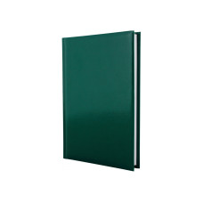 Щоденник недатований, FLASH, зелений, А5, клітинка