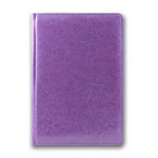 Щоденник "BRISK" недатований А5 3В-43 "Sarif" (176 л) фіолетовий