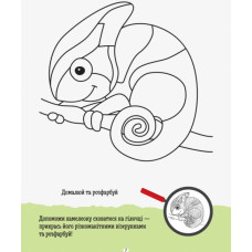 ДжоIQ. Креативна розмальовка (Укр) Кенгуру КН939014У (9789667490683) (312043)