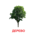 Картки міні. Рослини (110х110 мм) Зірка 145596 (2000001455968) (478518) Ран.478518