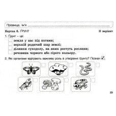 НУШ Я досліджую світ 3 клас. Діагностичні картки (Укр) Літера Л1189У (9789669452023) (430150)