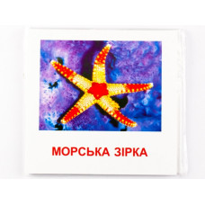 Картки міні Морські жителі (110х110 мм) (Укр/Англ) Зірка 72752 (9789663336053) (286286)