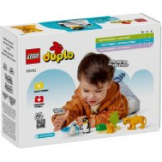 LEGO • Сімейства диких тварин: Пінгвіни та Леви (10442)