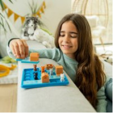 Smart Games • Коти в коробках (Cats & Boxes) (SG 450 UKR)