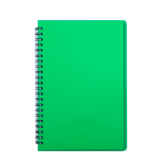 Тетрадь для записей RAIN, А5, 80 л., клетка, пластиковая обложка, зеленая