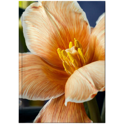 Книга записна А4, 192арк., кліт., Flora, жовта