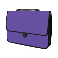 Портфель пластиковий A4 Economix на застібці, 1 відділення, фактура "Вишиванка", фіолетовий