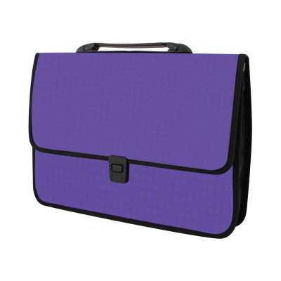 Портфель пластиковий A4 Economix на застібці, 1 відділення, фактура "Вишиванка", фіолетовий - E31641-12 Economix