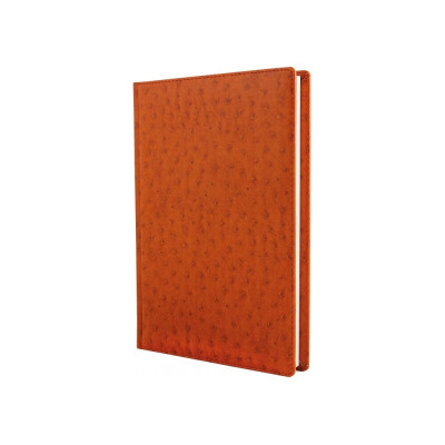 Дневник недатированный, OCTRICH, кремовый блок, клетка, Brown, A5 O25473-07