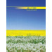 Книга обліку 96 арккліт.оф.(тв. лам. обл), А4 - BM.2400 Buromax