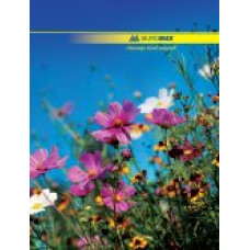 Книга канцелярська NATURE, А4, 96 л., клітинка, тверда ламінована обкладинка, асорті