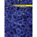 Книга обліку 96 арккліт.оф.(тв. лам. обл), А4 - BM.2400 Buromax
