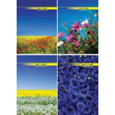 Книга канцелярська NATURE, А4, 96 л., клітинка, тверда ламінована обкладинка, асорті