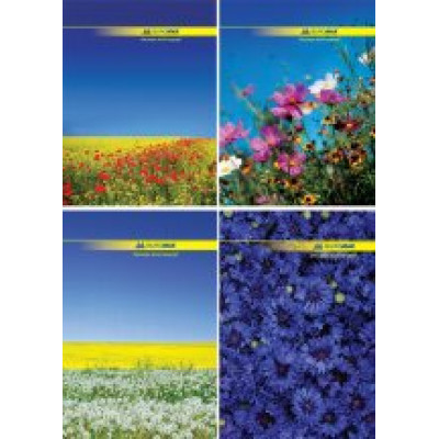 Книга обліку 96 арккліт.оф.(тв. лам. обл), А4 - BM.2400 Buromax