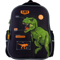 Рюкзак GoPack Education полукаркасный 165-1 Dinosaur