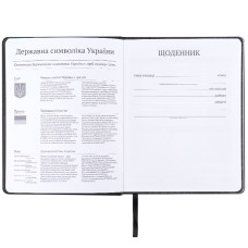 Школьный дневник, твёрдая обложка, PU, DC