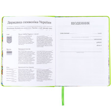 Шкільний щоденник, тверда обкладинка, PU, NT