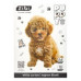 Картон білий CATS&DOGS, А4, 10 аркушів, 230 г/м2, KIDS Line