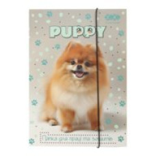 Папка для праці та зошитів DOG, картонна, на гумці А4 (225x316мм), KIDS Line