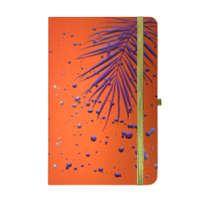 Книжка записная PIANTE, на резинке, 136х207мм, 96 л., клетка., офсет крем., тв.лам.обл., оранжевая