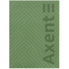 Записна книга 4- 203*273 мм, 96арк., кл., Pattern, зелена