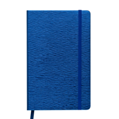 Блокнот діловий INGOT 125x195мм, 80арк., клітинка, обкладинка зі штучної шкіри, синій - BM.29912103-02 Buromax
