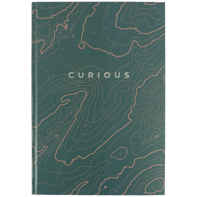 Книга записная А4, 96 л., кл., Earth colors, Curious