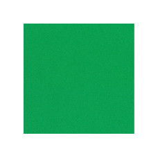 Фоамиран, 20х30 см, 2 мм, зеленый