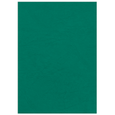 Обкладинки картонні А4 DELTA 250 мкм, "під шкіру", зелені