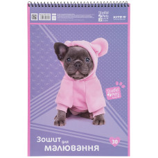 Тетрадь для рисования Studio Pets SP21-243-2, 30 листов