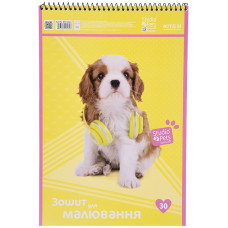 Тетрадь для рисования Studio Pets SP21-243-2, 30 листов