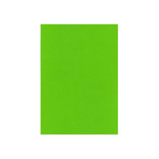 Фетр листовой (полиэстер), 20х30см, 180г/м2, салатовый