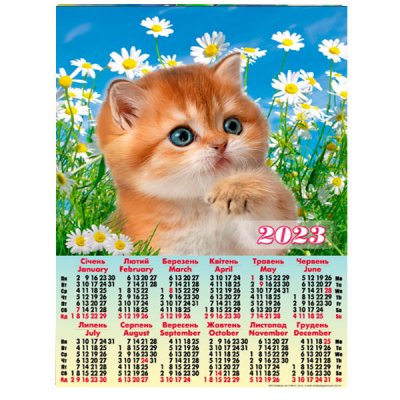Календар настінний 2023 А2 А-16 Котик у ромашках - 630385 Buromax