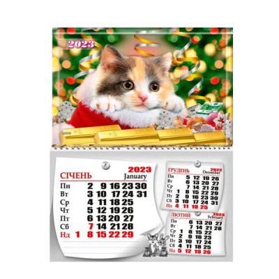 Календарь настенный 3мес. 2023 БЭК-03 (1 спир.) Котик - 629863 Buromax