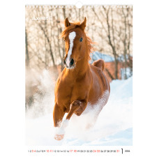Календар настінний А3 2026, Horses