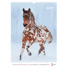 Календар настінний А3 2026, Horses