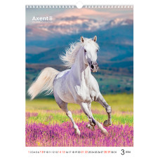 Календар настінний А3 2026, Horses