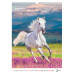 Календар настінний А3 2026, Horses