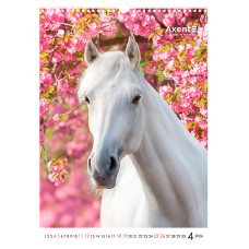 Календар настінний А3 2026, Horses