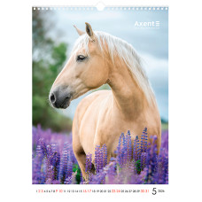 Календар настінний А3 2026, Horses