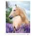 Календар настінний А3 2026, Horses