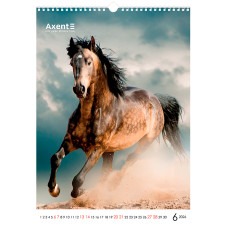 Календар настінний А3 2026, Horses